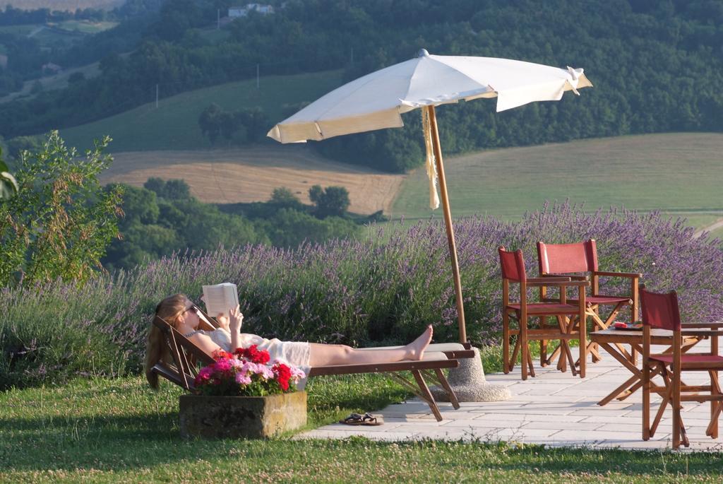 Agriturismo La Rosa Tea Βίλα Urbania Εξωτερικό φωτογραφία
