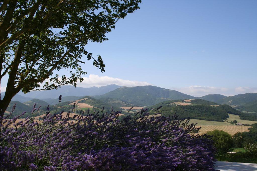Agriturismo La Rosa Tea Βίλα Urbania Εξωτερικό φωτογραφία